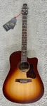 Seagull Entourage Autumn Burst Cw Presys Ii Acoustic Electric Guitar 051915. Fixed Price $699.00.