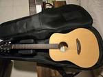 Breedlove Acoustic Guitar Atlas Passport D200/SMP +gig Bag. Fixed Price $300.00.