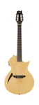 Esp Ltd TL-6N Natural Nylon String. Fixed Price $746.42.