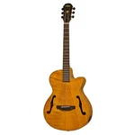 Aria FET-F2 Electro Acoust Series Guitar. Fixed Price $579.95.