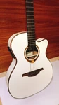 Lag T118ASCE-IVO,ELECTRIC & Acoustic Guitars,thin Body With White. Fixed Price $700.00.