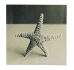 Black And White Starfish Seashell Canvas Nautical Beach Tropical Themed Wall Art. Fixed Price $28.95.