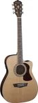 Washburn HF11SCE Heritage Series Folk Acoustic-electric Guitar Natural Gloss. Fixed Price $549.00.