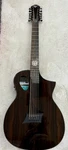 Michael Kelly Forte Port Randy Jackson 12-STRING Acoustic Electric Guitar. Fixed Price $599.99.