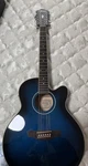 Ibanez String Acoustic Electric Guitar AEL1512E With Case. Fixed Price $400.00.