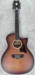 D'angelico Premier Fulton 12-STRING Grand Auditorium Acoustic-electric Guitar. Fixed Price $314.95.
