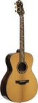 Vl Series 28, Orchestra Acoustic-electric With Solid Vvs Spruce Top. Fixed Price $799.99.