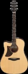 Ibanez AAD170LCELGS Left-handed Amplified Acoustic Guitars. Fixed Price $650.93.