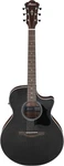 Ibanez Ae 6-STRING Weathered Black Open Pore. Fixed Price $426.79.