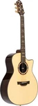 Stage Series 20, Grand Auditorium Acoustic-electric Guitar With Solid Spruce Top. Fixed Price $669.99.