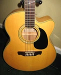 Alvarez AJ60SC N-12 Artist Series 12-STRING Made Korea 2000 Hardshell Case. Fixed Price $499.00.
