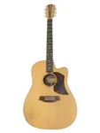 Cole Clark Guitar. Fixed Price $1100.00.