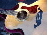 815C Taylor Guitar - Golden Era. Fixed Price $3000.00.