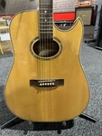 Jay Turser JTA-40CEO-NG Acoustic Electric Guitar. Fixed Price $250.00.