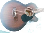 Mitchell T239B-CE-BST Short Scale Acoustic/electric Bass, Minor Flaws, Very Cool. Fixed Price $174.99.