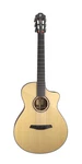 Furch Grand Nylon Gnc 4-SR Lr Baggs Eas-vtc+bag See Video. Fixed Price $2575.00.