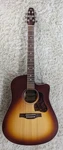 Seagull Entourage Autumn Burst Cw Presys Ii Acoustic Electric Guitar #051915. Fixed Price $349.95.
