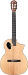 Michael Kelly Forte Port Nylon String Spruce Top Acoustic-electric Guitar. Fixed Price $495.00.