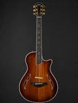 Used Taylor T5Z Custom Shaded Edgeburst With Ohsc. Fixed Price $2000.00.