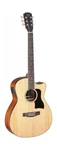 James Neligan 6 String Bes-ace Bessie Series Auditorium Cutaway Acoustic-el.... Fixed Price $443.46.