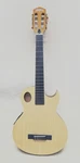 Washburn EACT42 Thinline Acoustic-electric Classical Guitar, New Condition!. Fixed Price $380.00.