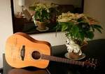 1990 Takamine EC-132C Guitar Autographed By Eagles' Henley, Frey, Walsh, Schmit. Fixed Price $20000.00.