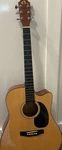 Eleca Dagfcn Dreadnought Acoustic Guitar 6-STRING Natural Wood W/ Gig Bag. Fixed Price $70.00.