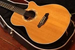 Takamine LTD2001 Dolphin Limited Model Safe Delivery From Japan. Fixed Price $1970.70.