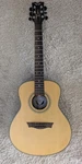 Dean St. Augustine Mini Jumbo Acoustic-electric Guitar, Natural Model # Samje Sn. Fixed Price $195.00.
