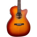 Seagull Entourage Concert Hall Acoustic-electric Guitar Rustic Burst. Fixed Price $749.00.