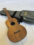 Martin Oxk Concert Ukulele With Original Gig Bag Brand New. Fixed Price $280.00.