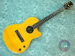 Gibson Chet Atkins Sst With Original Hard Case 1991 Acoustic Electric Guitar. Fixed Price $3800.00.