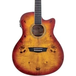 Washburn Deep Forest Burl Ace Acoustic-electric Guitar Amber Fade. Fixed Price $349.00.