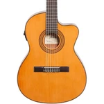Ibanez GA5TCE Classical Acoustic-electric Guitar, Natural W/ Gig Bag And Tuner. Fixed Price $299.99.