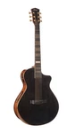 Cort Masterpiece Series Acoustic-electric Guitar. Trans. Fixed Price $1799.99.
