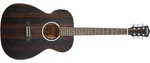 Washburn Dfefe-u Deep Forest Folk Acoustic/electric Guitar. Striped Ebony. Fixed Price $409.99.