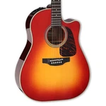 Takamine Limited Edition CP6SS Dreadnaught Cutaway. Fixed Price $2649.99.