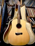 Tacoma DM9 Dreadnought - All Solid Wood Usa Made Acoustic Cannon + Case. Fixed Price $795.00.
