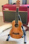Oscar Schmidt/washburn OU-5 Ukulele W/ Gretsch Soft Case. Fixed Price $134.99.