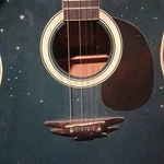 Esteban Midnight Moon Limited Edition Acoustic-electric Guitar Blue 6 String 20. Fixed Price $100.00.