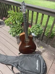 Breedlove Concert Discovery Mahogany Acoustic Electric Gig Bag. Fixed Price $199.00.