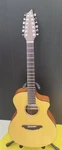 Breedlove AC250/SM-12 Electro Acoustic String Natural Used. Fixed Price $2111.85.