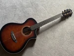 Breedlove Performer Concertina Satin Bourbon Acoustic Electric Guitar Blem. Fixed Price $219.99.