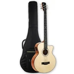 5 String Electric Acoustic Bass Spruce Top Mahogany Back & Sides. Fixed Price $259.99.