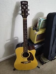 Ibanez PF15ECE Nt Acoustic Electric Guitar - Natural. Fixed Price $175.00.