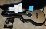 Rainsong P12P Parlor Acoustic/electric Guitar Pewter 2012. Fixed Price $1899.00.