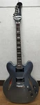 Epiphone Dave Grohl DG-335 Electric Guitar. Fixed Price $1592.99.