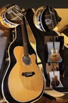 Acoustic Guitar Takamine Ltd 2001 Dolphin. Fixed Price $1550.00.