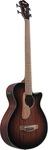 Ibanez AEGB24E-MHS Acoustic Bass With Pickup. Fixed Price $543.54.