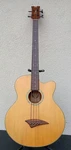 Dean Performer Bass Guitar - Ng Acoustic Electric. Fixed Price $185.00.
